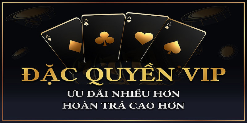 Chính sách đặc quyền chỉ dành riêng cho các hội viên VIP