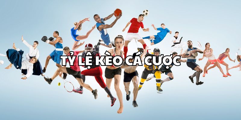 Tỷ Lệ Kèo Cá Cược