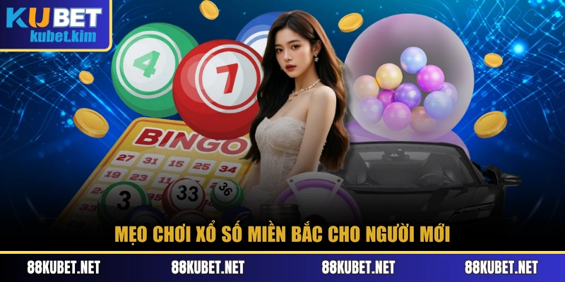 Mẹo chơi xổ số miền Bắc cho người mới